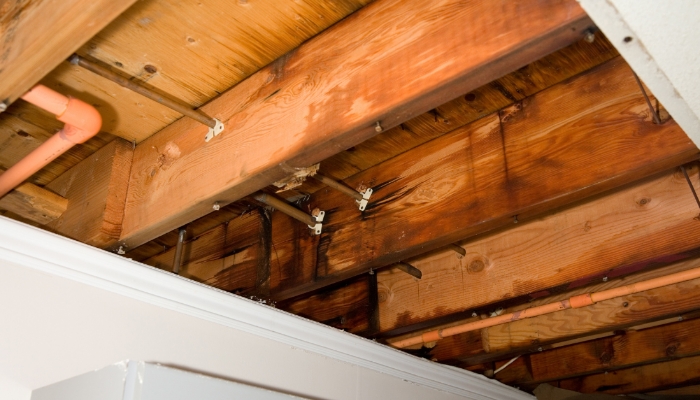 Water Damage From Floor Above